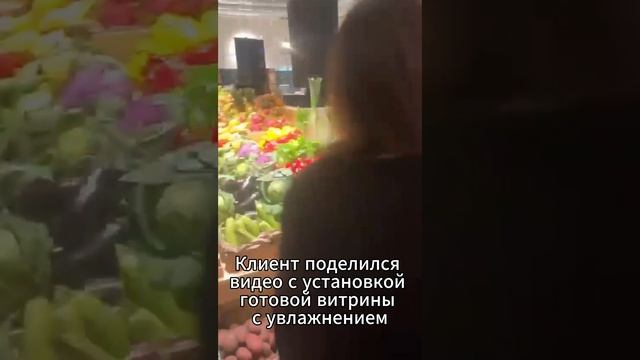 Готовая витрина с увлажнением для зелени