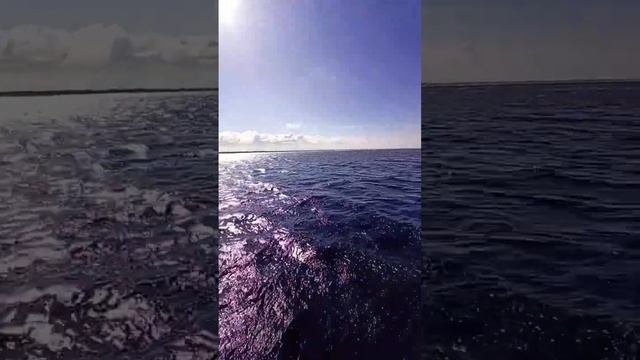 бесконечность #ivanflickerman #severodvinsk #белоеморе #красота #music смотреть онлайн