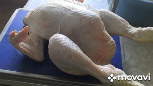 Наш результат по выращиванию бройлеров Рост 308.