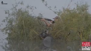 ОХОТА НА УТОК В ДЕЛЬТЕ РЕКИ / ПО ПОЯС В ГРЯЗИ / ПРИГОТОВЛЕНИЕ ВКУСНЫХ БЛЮД ИЗ ДИЧИ И РАКОВ 🔴ОХОТРАД