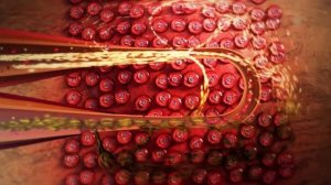 Схема нормального кровоснабжения, функция органа сохранена