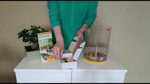 Ферма бабочек (баттерфлярий) от Babcohki moscow