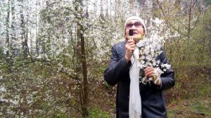 Все говорят, что я ветренна бываю