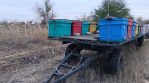 Пчеловодство, сезон 2024, окончание сезона, переезд в зимовник, последние работы.