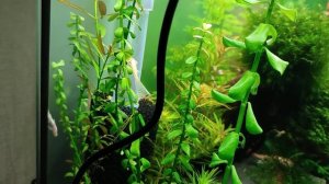 31 марта 2024 г.