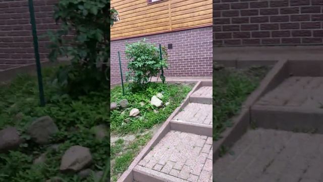 Наш дом. Часть 2 #дом #домсвоимируками #домвдеревне #деревня #жизньвдеревне #деревенскаяжизнь