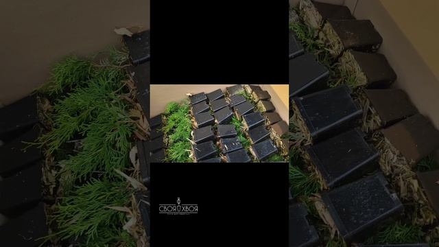 Спасибо что вы с нами ❤️