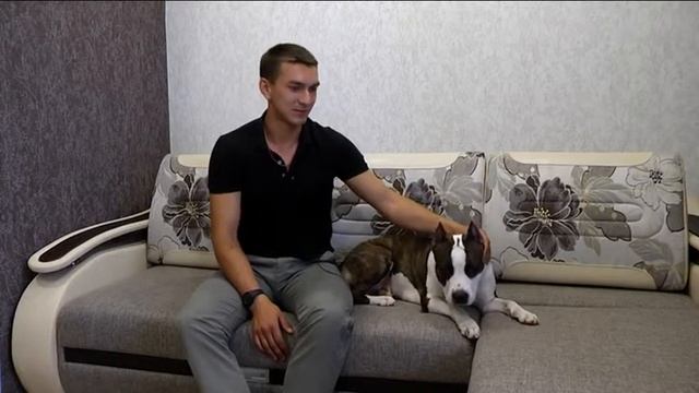 человек собаке друг смотреть онлайн