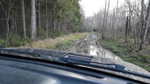 Осенняя прогулка по лесу