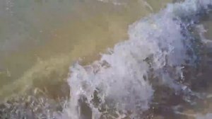 ЕйскОтдых на Азовском море, пляж, штормит, 07.08.2023. Обзор квартиры под ремонт. Варька и арбуз