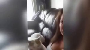 Кот укусил хозяйку за сиську)))