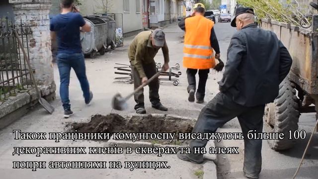 Озеленення Самбора