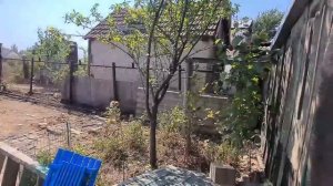 Купила дом Кубанец. Спиливаем деревья на участке...