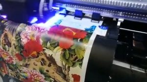 Рулонный УФ принтер Alfa UVR1602 DX11