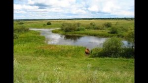 Мой родны кут, як ты мне мілы...Стоўбцы