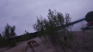 Как варить уху.