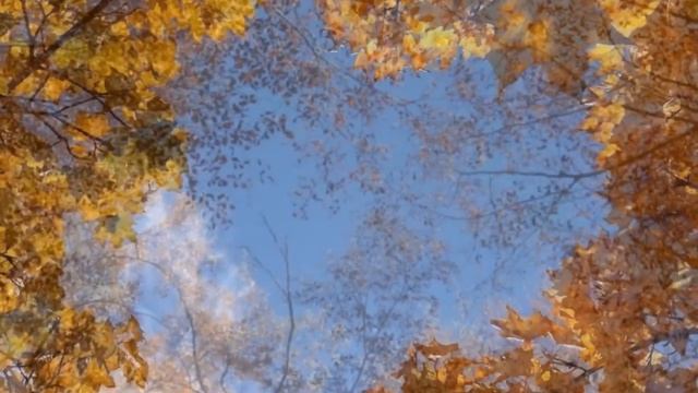 Леонид Левашкевич. Размышление (стихотворение и музыка)
