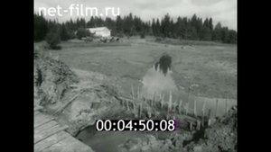 1987г. деревня Нылга. Городилова Т.П. Увинский район Удмуртия.