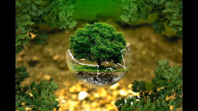 デトックス フッ素化合物とアクリルアミド(バイオレゾナンス) サードアイ смотреть онлайн