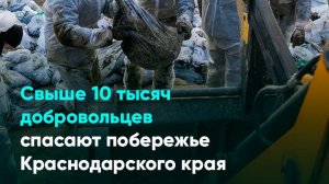 Свыше 10 тысяч добровольцев спасают побережье Краснодарского края