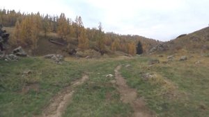 Экспедиция 2019 Не вошедшее. Expedition 2019 Not Included