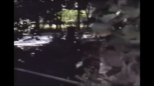 Taboo American Style 1 (1985) Rated PG смотреть онлайн