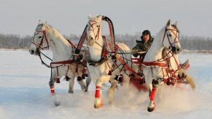 У ЛЕСА НА ОПУШКЕ ЖИЛА ЗИМА В ИЗБУШКЕ.