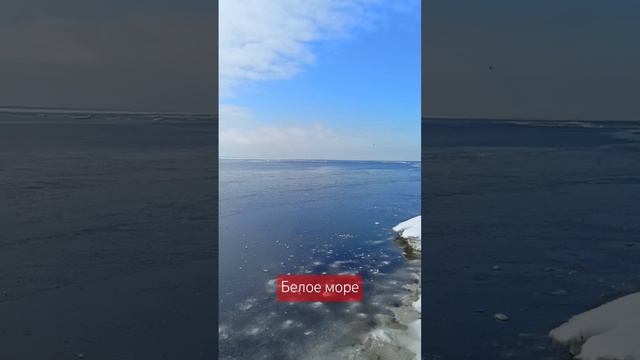 бесконечная красота #белоеморе #северодвинск #ivanflickerman #svdv #svd #guitar смотреть онлайн