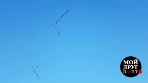 Евгений Евтушенко - Осень |  Красивые стихи об осени жизни  |  Поэзия