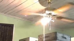 Термокомната пасека Хомич