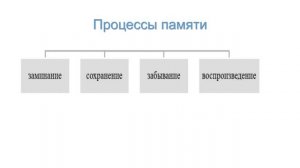 01_01_Тема 3 Познавательные процессы.2024-12-24-16-17-23