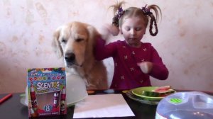 Угадай запах Челлендж ароматные маркеры Scentos киндеры Семейка Бегемотов 2017