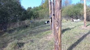 ПОТЕРИ НА ХУТОРЕ