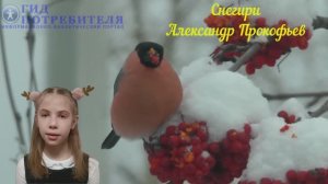 Снегири_Прокофьев - Иванова Екатерина