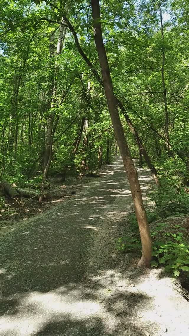 Пермь. В Балатовском лесу. На распутье.