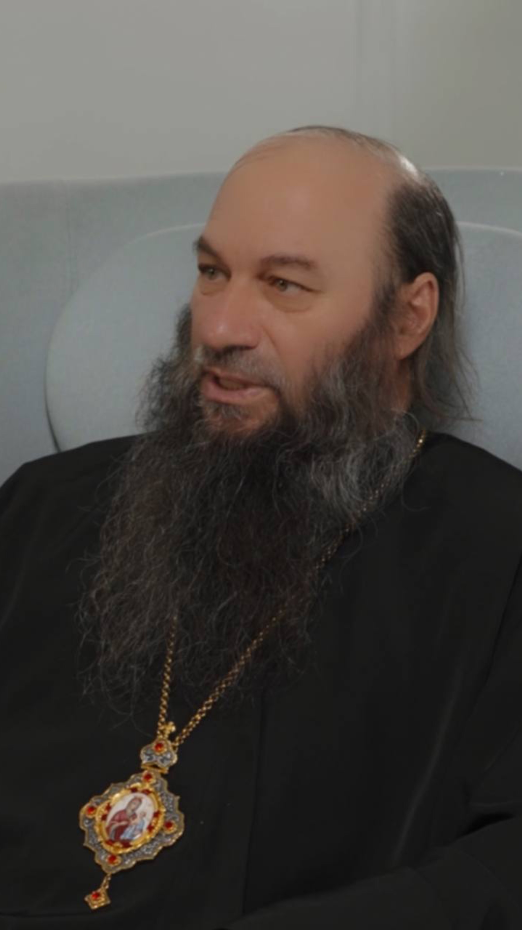 Епископ Ириней: Почему Церковь против суррогатного материнства и ЭКО? #сурогатноематеринство #ЭКО