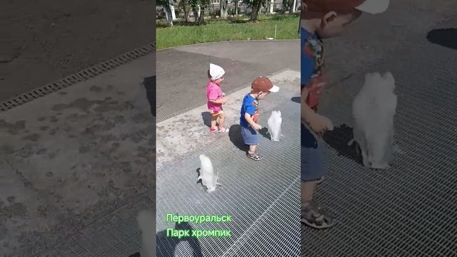 Дети в фонтане