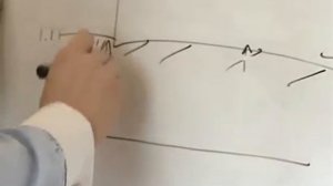 Cтроительство самого современного свинокомплекса