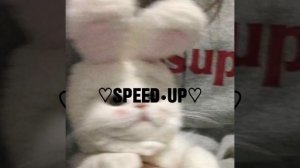 speed up песня:девушки бывают разные