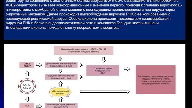 ИНФЕКЦИОННЫЕ БОЛЕЗНИ: ОБЩАЯ ХАРАКТЕРИСТИКА. ВИРУСНЫЕ ИНФЕКЦИИ: ОБЩИЕ ПОЛОЖЕНИЯ.
