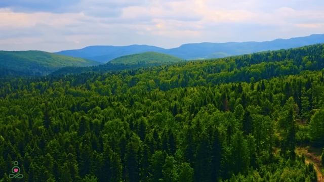 Исцеление внутреннего гнева и устранение печали, ультра🌿 расслабляющая музыка для снятия стресса