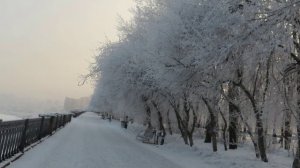 На Притомской набережной. Всё в инее. Кемерово