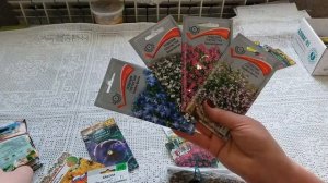 КАЛЕНДАРЬ  садовода на ФЕВРАЛЬ. Начинаем сеять. Работы в саду