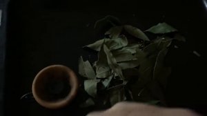 Ритуал Очищения на 1 , 2 , 3 января . Чистка с лавровым листом