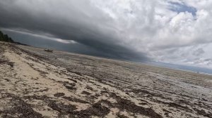 ПЛЯЖИ БИГ-ТРИ В БАМБУРИ МОМБАСА АФРИКА