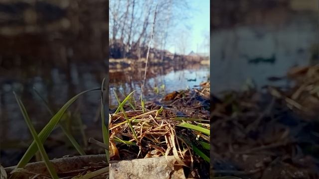 Весна смотреть онлайн