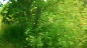 Нива против Уаза на бездорожье !