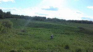 ПРИВЕЗ ЗЛОДЕЕВ И ЗАГАДКА ХУТОР ЗАГАЙКИ