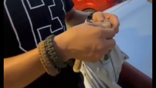 а на разгрузке чебурашка новогодняя