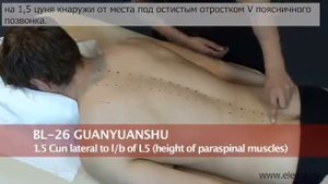 Орхит, воспаление придатка семенной железы